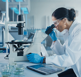 Document for Medical Laboratory Certification Programme